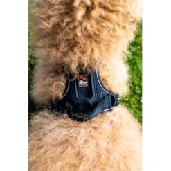 Fressnapf Tracker Pathfinder Geschirr Set S -Heimtierbedarf Verkauf 0473ecbb0fe55fb7883a57b7591ab570c5a5aaa7 1409260 2