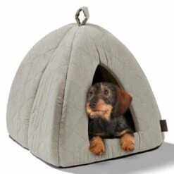 MORE Höhle Diamond -Heimtierbedarf Verkauf 1901edb64570eb8cb38c0e72458280ff138dcb40 856e9f8ef094dc77c4e2ce9e6d85768bffa721c6