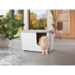 MORE FOR Katzentoilette XXL Titan -Heimtierbedarf Verkauf 331a65ecbdbda6a54304894f23caf93293414f9a 41a7dcb3b92b8da7531785b268f381c1b25bbf04