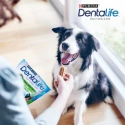 DentaLife PURINA Hunde Zahnpflege-Snacks Großpackung Medium, 84x -Heimtierbedarf Verkauf 3d22bf74a99660236ce1548620fac8aa3ac8818f 7dac1d18ca011066644ad899fee9fa3bcb5974f5