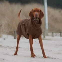 THE DOG IDEA Bademantel Every Braun XXXS -Heimtierbedarf Verkauf 62c517832f7f923b83b0a0ee681a77b2e33cc3c3 1473036 de DE 2393ef51979dd0191b0261c826741cb7543b7b3brAaZfV