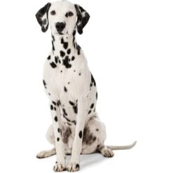 MORE Liegeplatz Cord LOOKS By Wolfgang Joop M 10 MORE Liegeplatz Cord LOOKS By Wolfgang Joop M -Heimtierbedarf Verkauf 6828406bf5c097465ec912985de2b95c60385f12 1410461 3