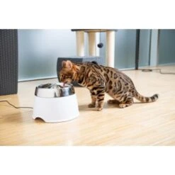 AniOne Edelstahl-Trinkbrunnen Trevi Ohne Ersatzfilter 7 AniOne Edelstahl-Trinkbrunnen Trevi Ohne Ersatzfilter -Heimtierbedarf Verkauf 7a066af048695bbfaeca0a855e5984fc3bf99d03 689fcf415d486ac05c07f2a4868b1d087d7a9ece