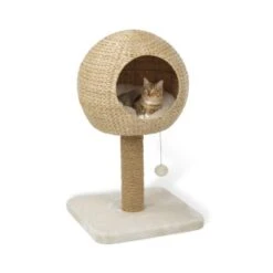 AniOne Kratzbaum Taro -Heimtierbedarf Verkauf 8015d7b4c0183292da7990dff25b7ff1c97f7ca6 4661a3fe35a0d785da64c78b80181fd4eec21218