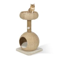 AniOne Kratzbaum Anzo -Heimtierbedarf Verkauf 8251ae4516bf903fd0d3f9c45aa1bbabf8946a79 e7ecb07cf2644d3862a8042d79dc2f0a59c03802