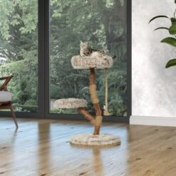 Bestseller -Heimtierbedarf Verkauf 87f0327374e5809e6ea9f0a09dbc2d6a0f7e7402 1407289 Milieu MF K