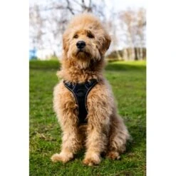 Fressnapf Tracker Pathfinder Geschirr Set S -Heimtierbedarf Verkauf 95fb3d1835f9b47b6bafba0cf238225b5e5c9b2f 1409260 1