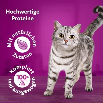 Whiskas Pure Delight Mega Pack Geflügel Ragout In Gelee 40 X 85g 8 Whiskas Pure Delight Mega Pack Geflügel Ragout In Gelee 40 X 85g – Bild 6