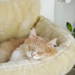 Schlitzohr Heizungsliege Lucky Beige -Heimtierbedarf Verkauf bdc02033928d033279e49ebefe91371e629dfd2f 1484673 de DE 4daf09016934a9074c92f48c173e840fa6385a4agwWEjb