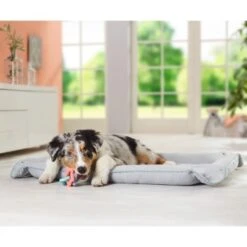 AniOne 2in1 Liegeplatz Pepe & Kitty S -Heimtierbedarf Verkauf c0b1c57ce9a81460ac4881703e585fea19070439 7b3c609afbafd568a967e70d6389fb43f36e72f6