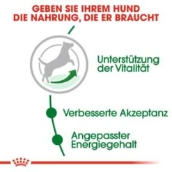 ROYAL CANIN Mini Adult 8+ 8 Kg -Heimtierbedarf Verkauf c353b0de3f48a724e716c1c76485d0baab2f2c1c b5e80ca1f67a73b432838d9b8dc4feac61bcbeef