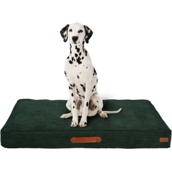 MORE Liegeplatz Cord LOOKS By Wolfgang Joop M 7 MORE Liegeplatz Cord LOOKS By Wolfgang Joop M – Bild 5