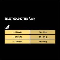 SELECT GOLD Kitten 12x85 G -Heimtierbedarf Verkauf e199c30a8062f05a16c4f0c125219f864273bcc1 1099251 de DE 7