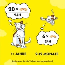 Dreamies Snack-Vielfalt 12x60g 13 Dreamies Snack-Vielfalt 12x60g -Heimtierbedarf Verkauf e1b190f4f53100ff83c0fb6481ba747fb1f78bad 1297459 2