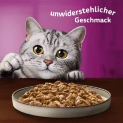 Whiskas Pure Delight Mega Pack Geflügel Ragout In Gelee 40 X 85g 19 Whiskas Pure Delight Mega Pack Geflügel Ragout In Gelee 40 X 85g -Heimtierbedarf Verkauf fb884326dc9636e4843c68e11f5586233a08be8f 1410723 de DE Whiskas 8