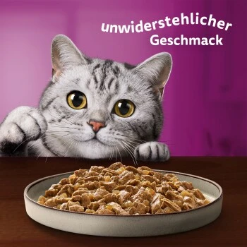 Whiskas Pure Delight Mega Pack Geflügel Ragout In Gelee 40 X 85g 11 Whiskas Pure Delight Mega Pack Geflügel Ragout In Gelee 40 X 85g – Bild 9