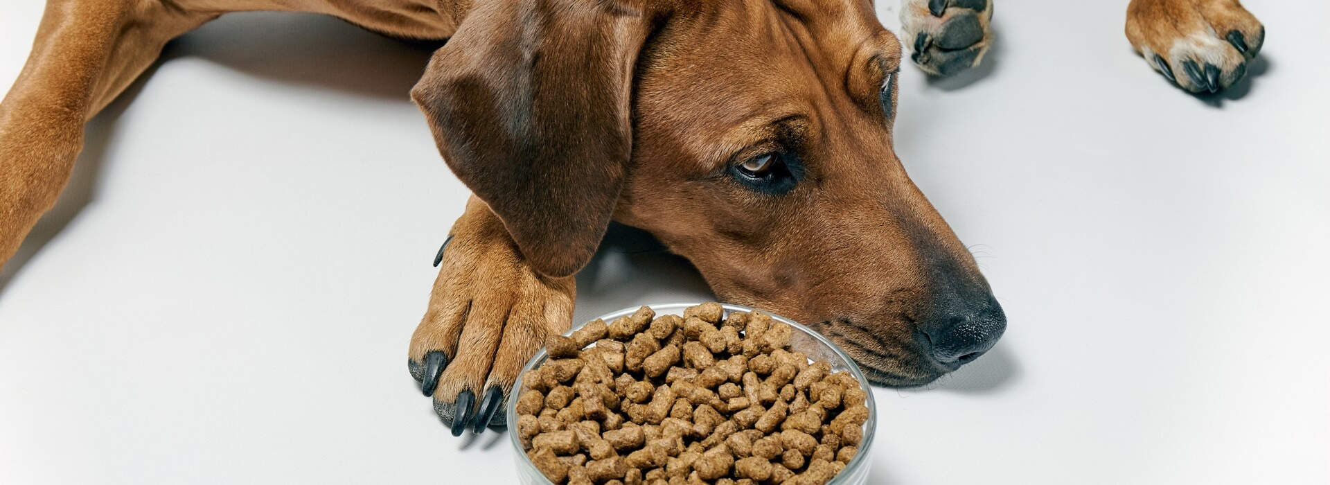 Heimtierbedarf Verkauf -Heimtierbedarf Verkauf 1