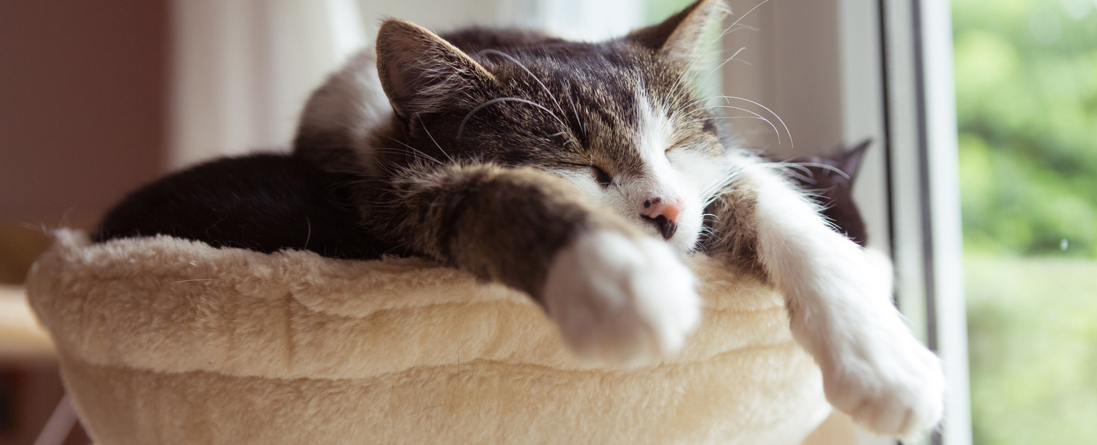 Heimtierbedarf Verkauf -Heimtierbedarf Verkauf 2